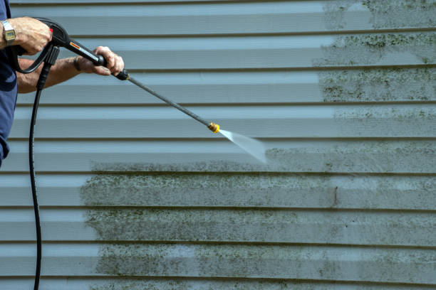 Best Deck Cleaning Services  in Buckhead Ridge, FL