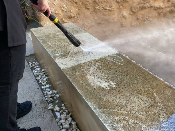 Best Power Washing Near Me  in Buckhead Ridge, FL