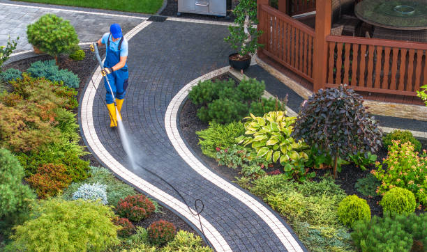 Best Pressure Washing Contractors  in Buckhead Ridge, FL