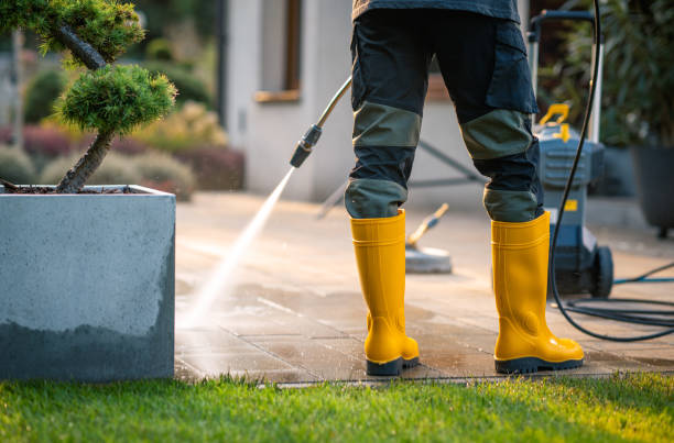 Best Deck Pressure Washing  in Buckhead Ridge, FL